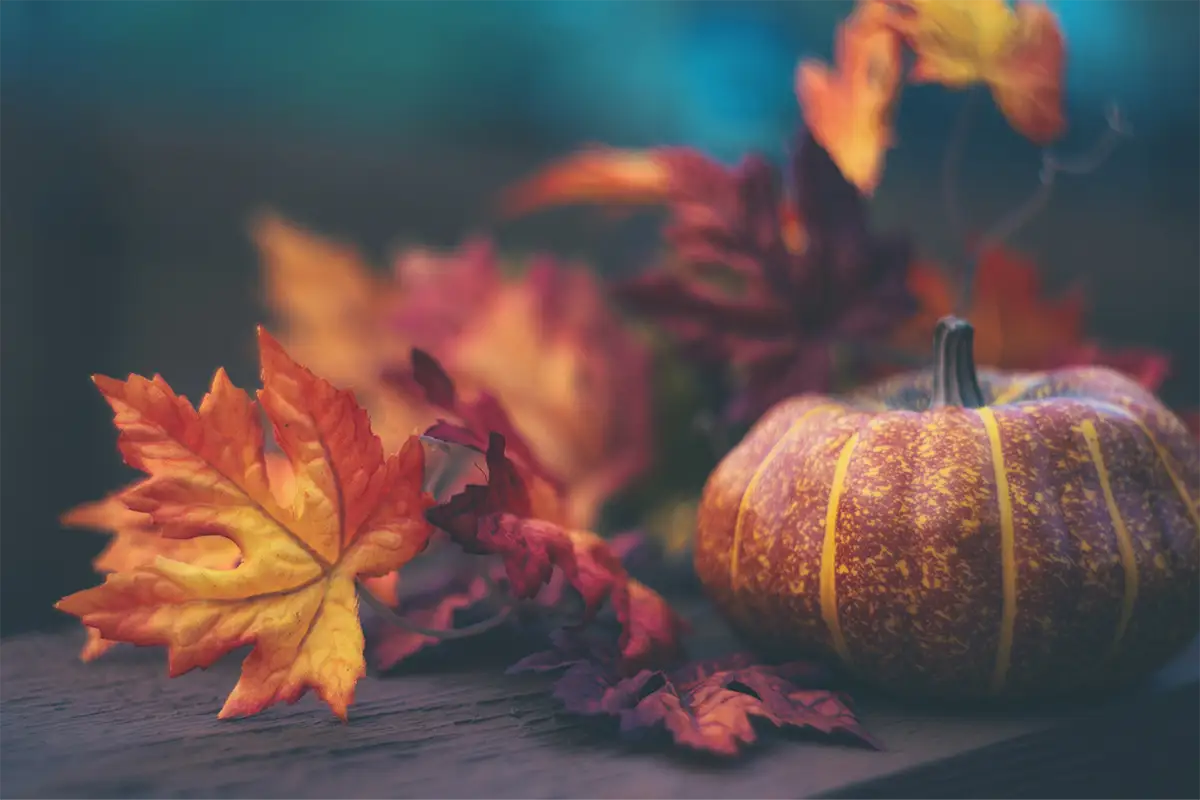 Charter’s Spooktacular Trick or Treat